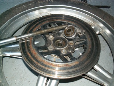 PICT8131.JPG