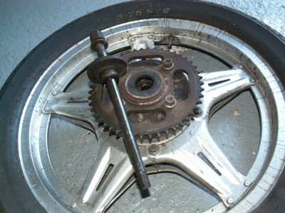 PICT8134.JPG